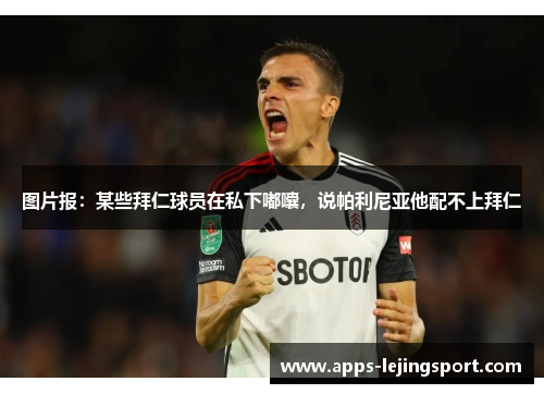 图片报：某些拜仁球员在私下嘟囔，说帕利尼亚他配不上拜仁
